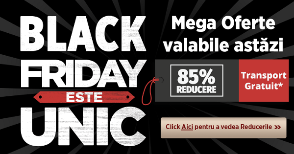 Grabiti-va sa prindeti reducerile de Black Friday la lucrari de contabilitate!