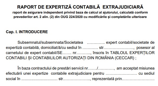 CECCAR a publicat modelul de raport de expertiza contabila extrajudiciara necesar pentru Horeca