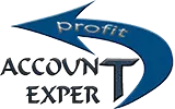 ACCOUNT EXPERT Logo